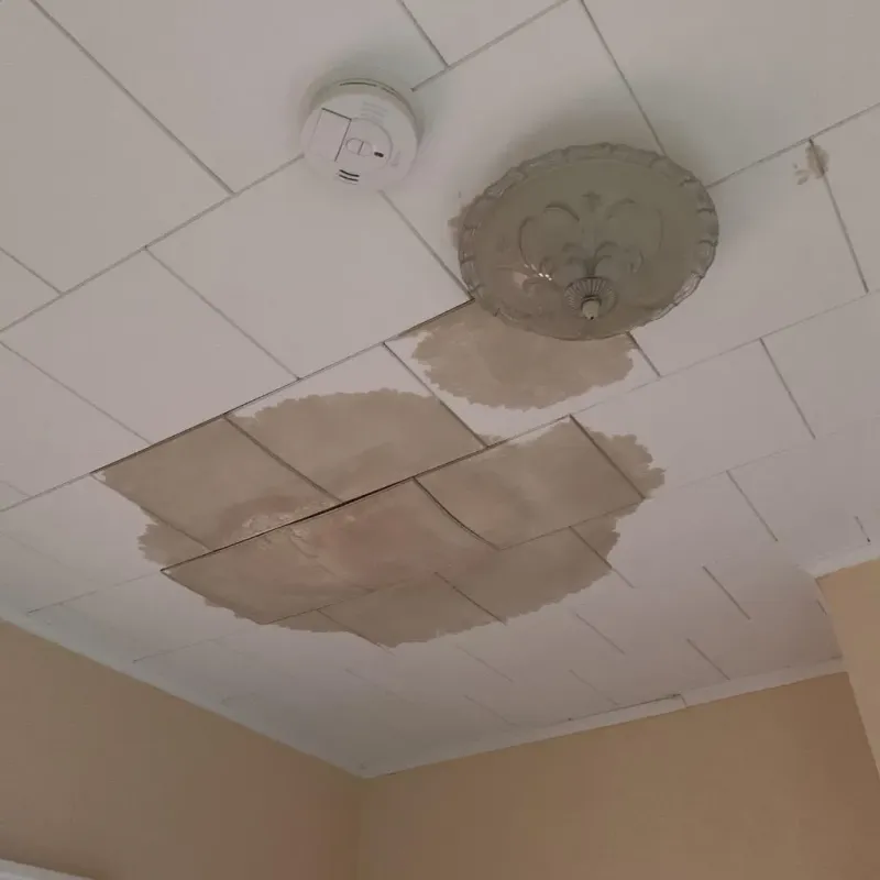 Ceiling Water Damage Repair in Etna, PA