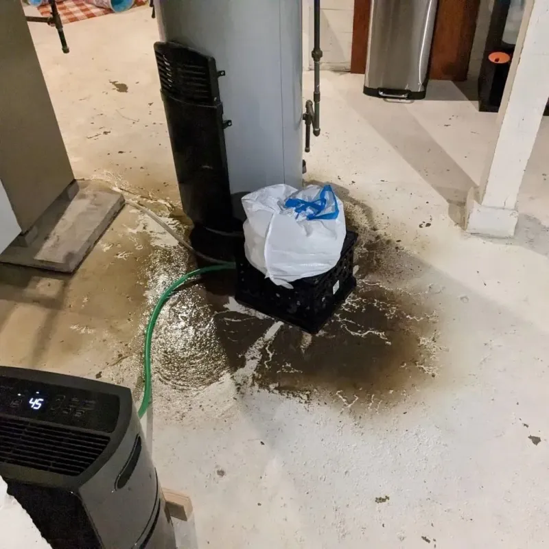 Sewage Backup Cleanup Service in Etna, PA